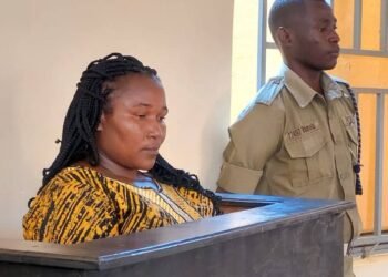 housemaid-child-torture-case