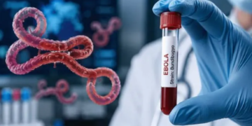 Africa CDC Declares Ebola Outbreak in Uganda and DRC a Continental Health Emergency
